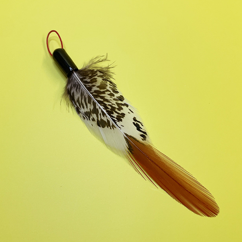 심플시리즈 주황꼬리깃털 리필 1p